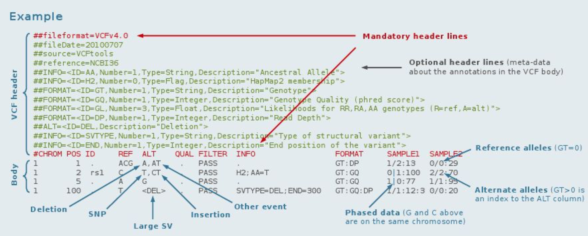 figure6