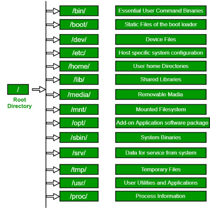 Introduction to Commands