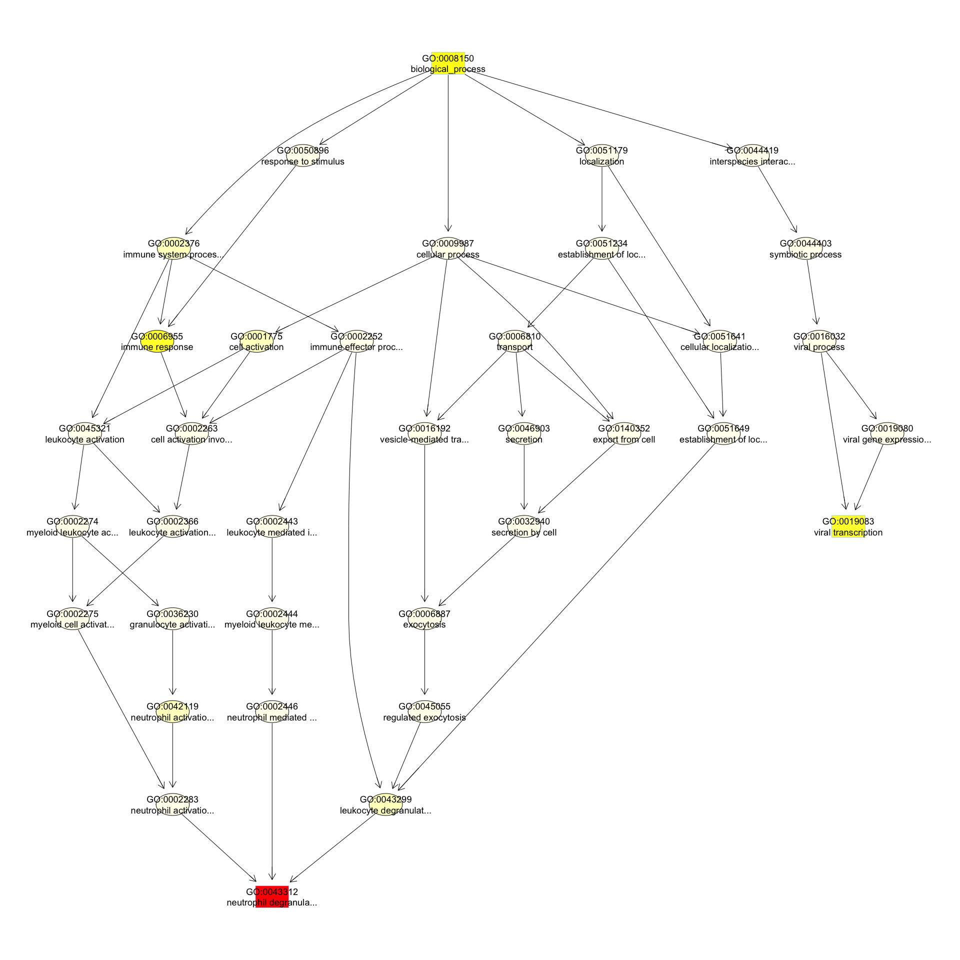 dag## A graphNEL graph with directed edges## Number of Nodes = 36 ...