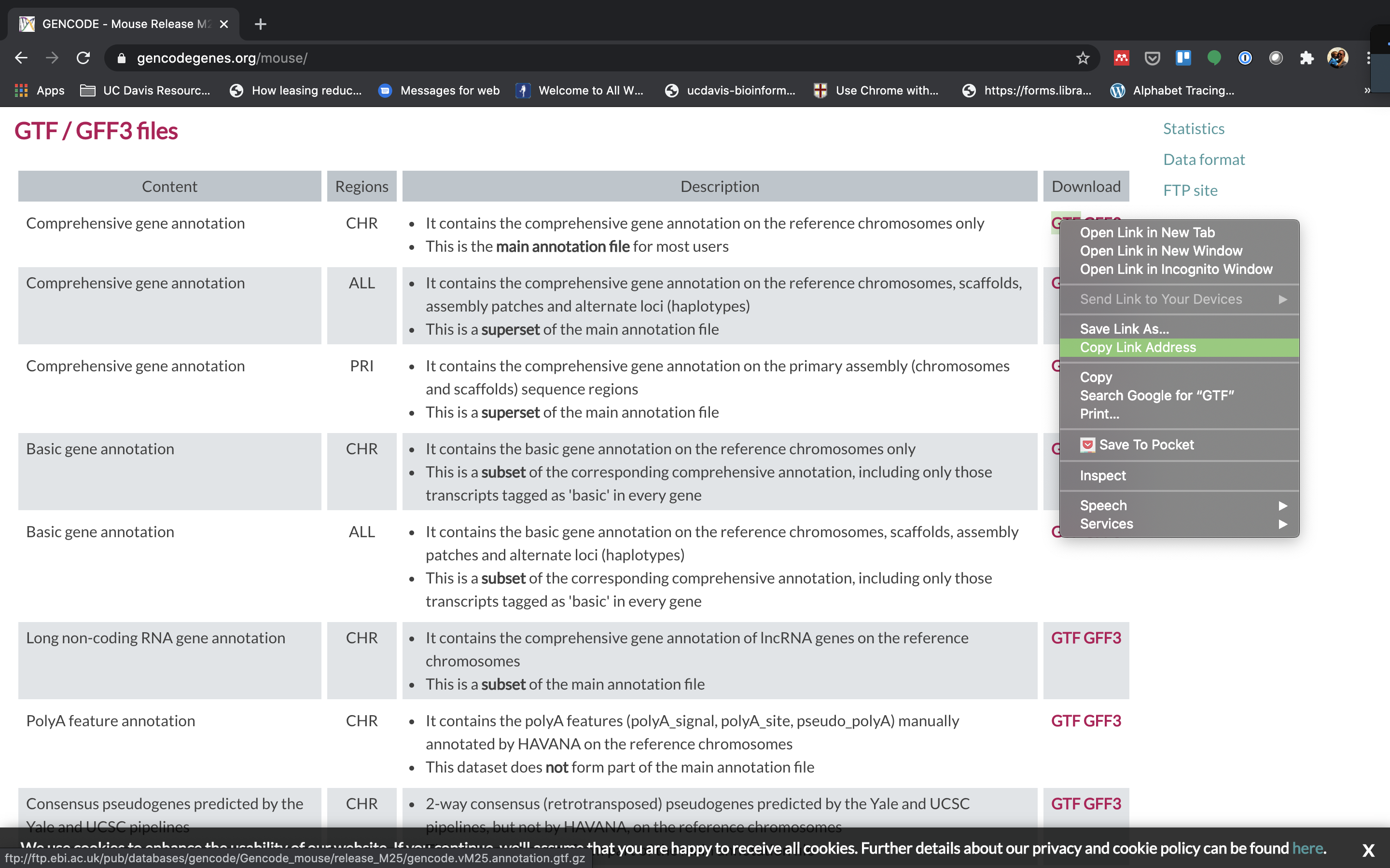 MM_comprehensive_gene_annotation