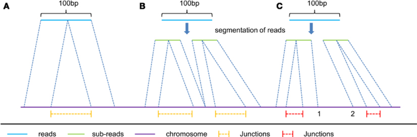 alignment_figure1