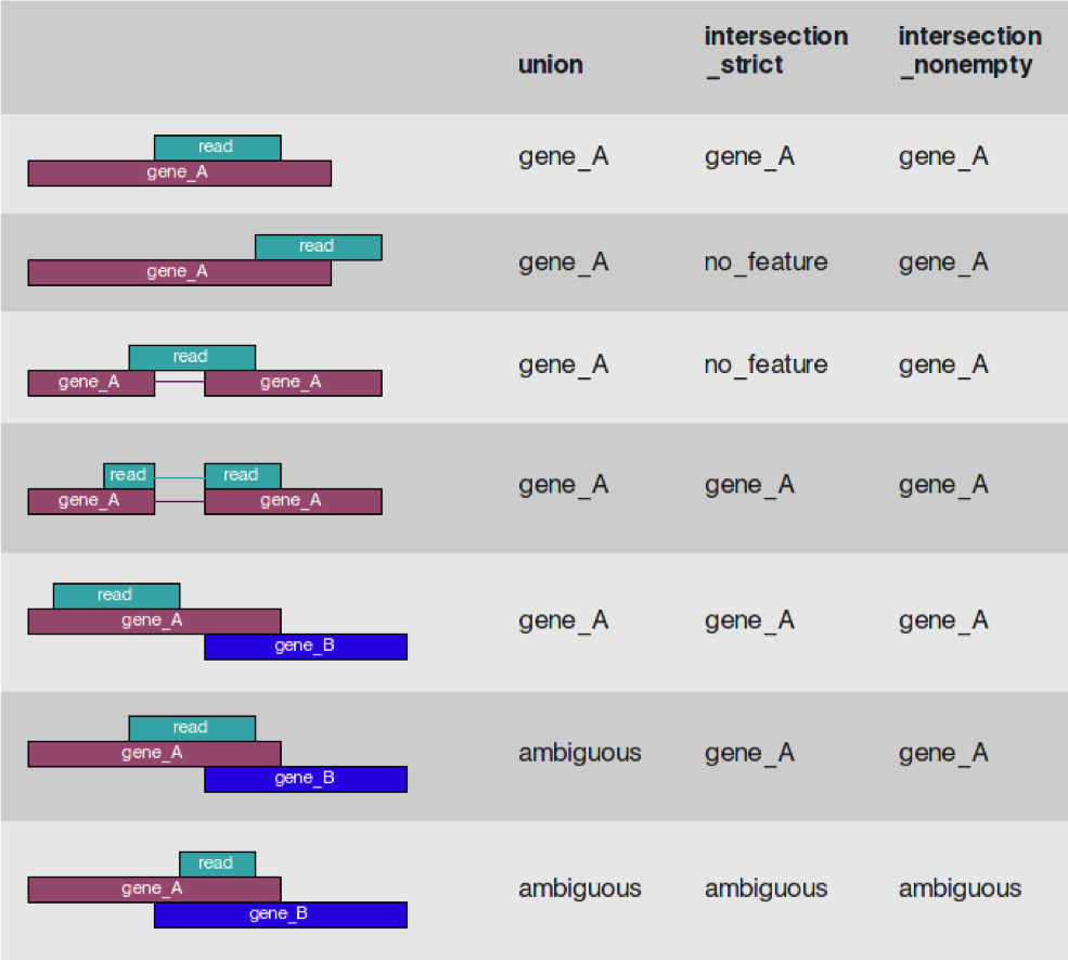 alignment_figure2