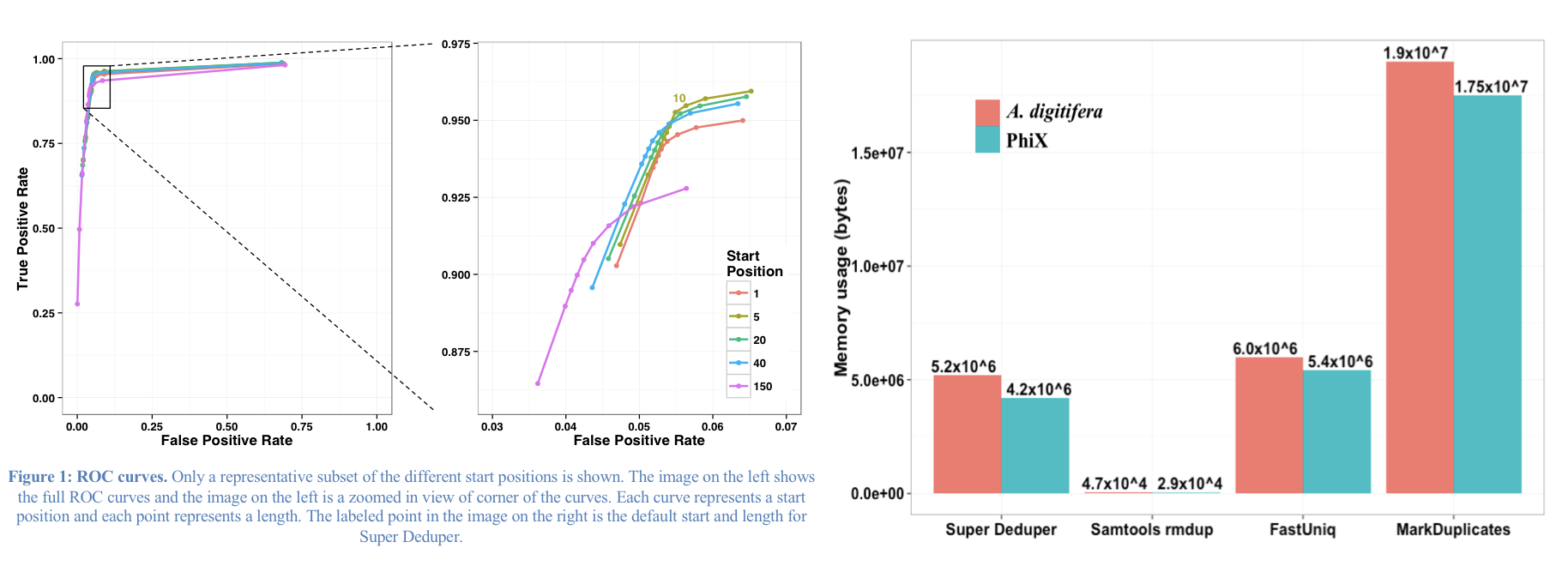 SD_performance