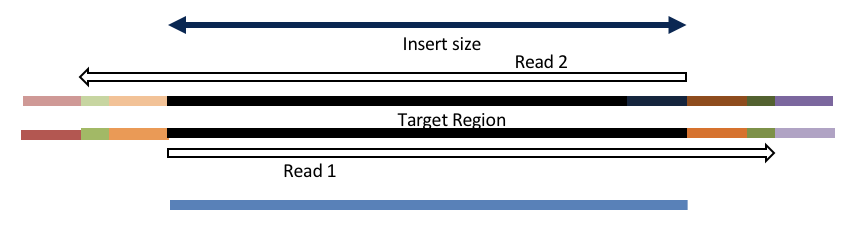 overlap_adapter