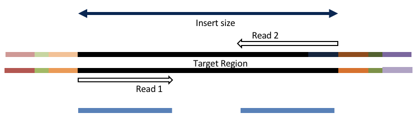 overlap_pairs