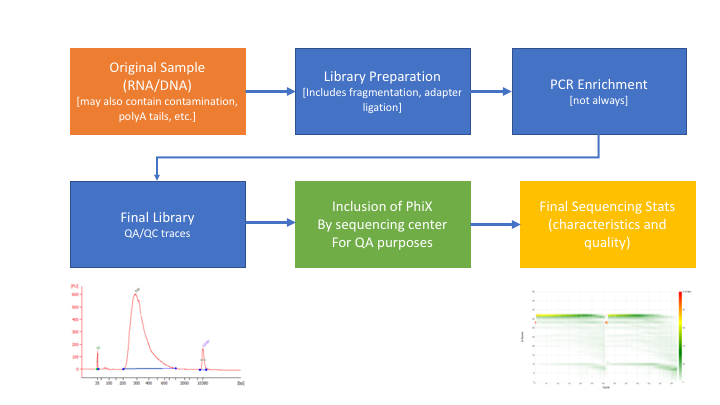 preproc_flowchart