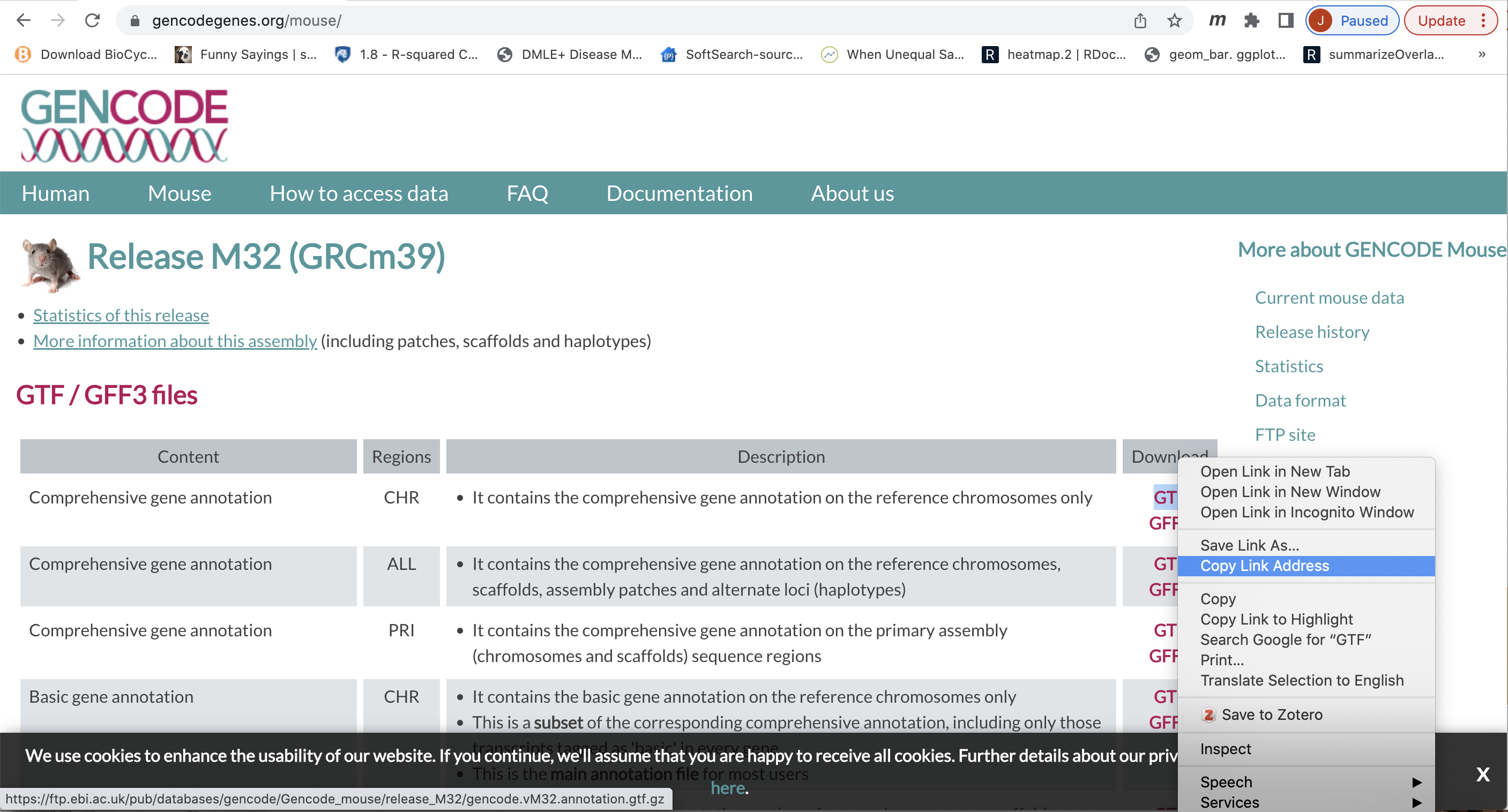 MM_basic_gene_annotation