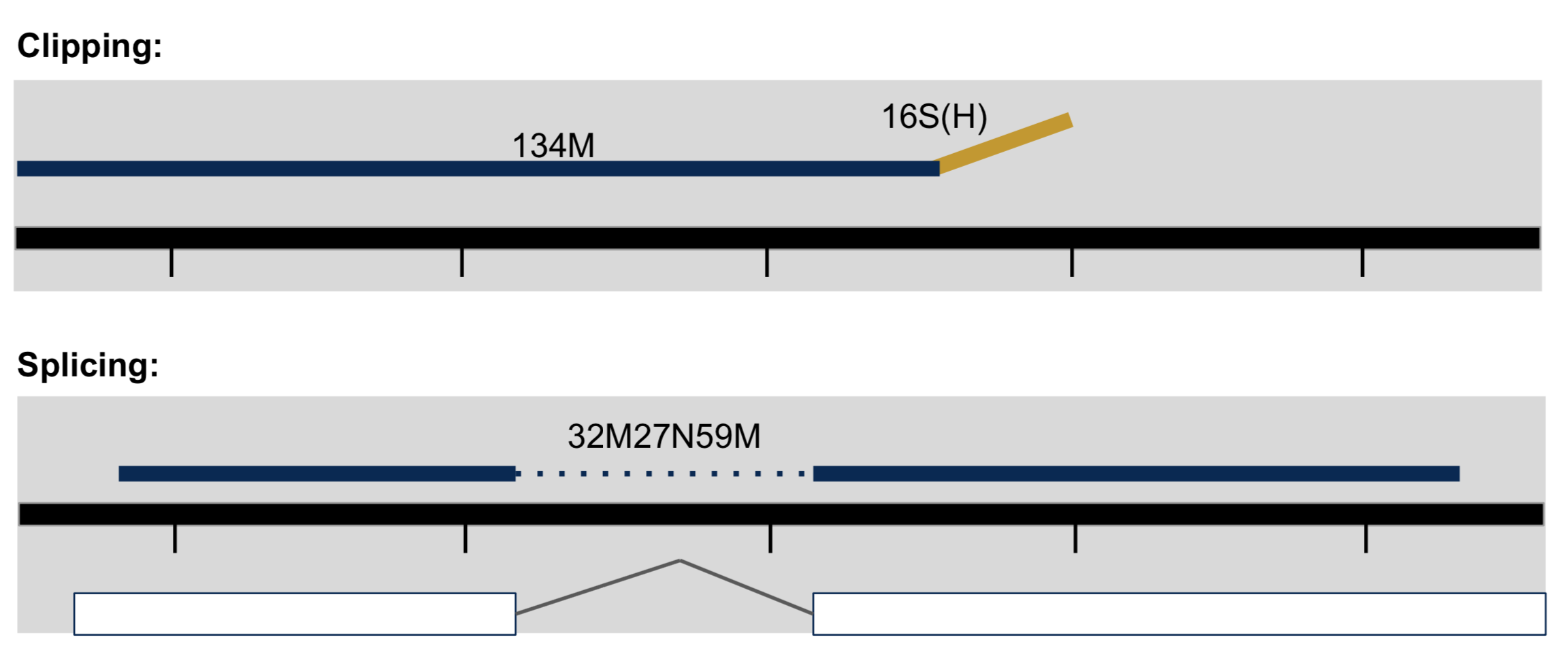 alignment_figure3