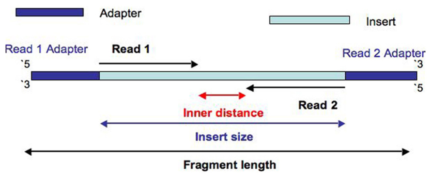 alignment_figure4