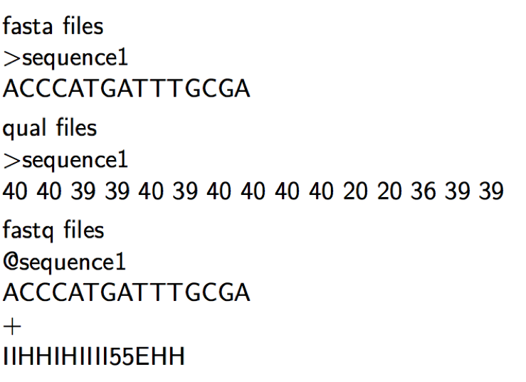 figure1