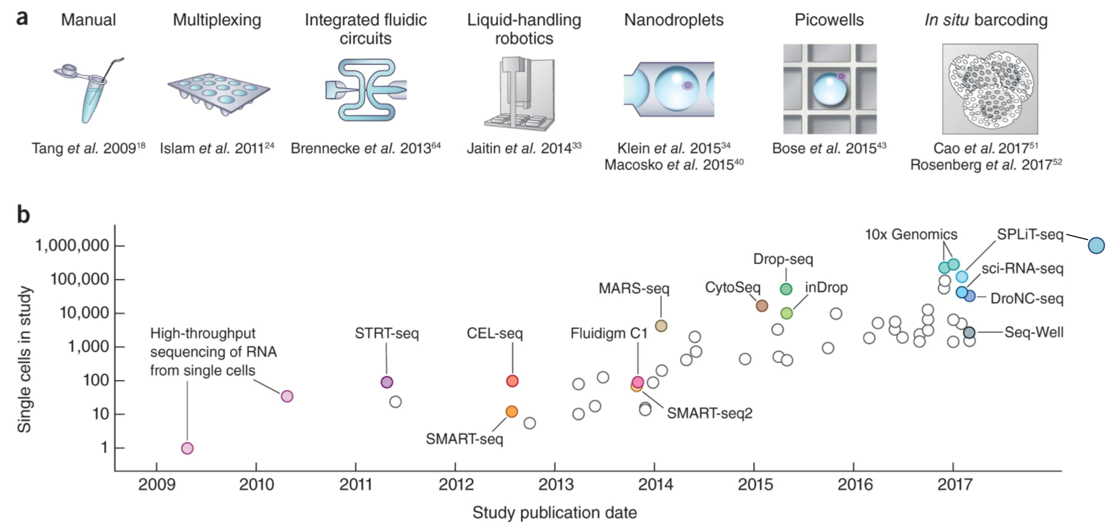 Flowchart of the scRNAseq protocols