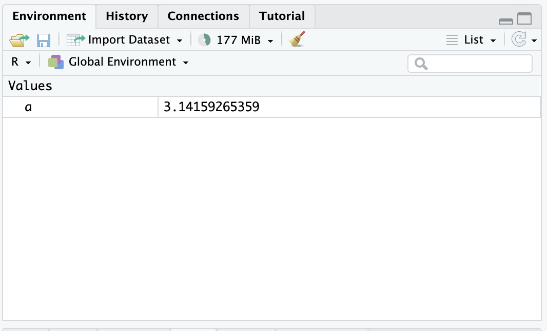 Environment browser displaying the newly-assigned value of a