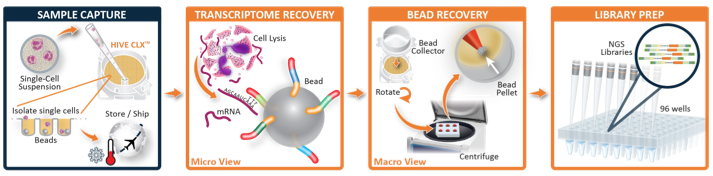 Workflow of Honeycomb Biotechnologies single cell