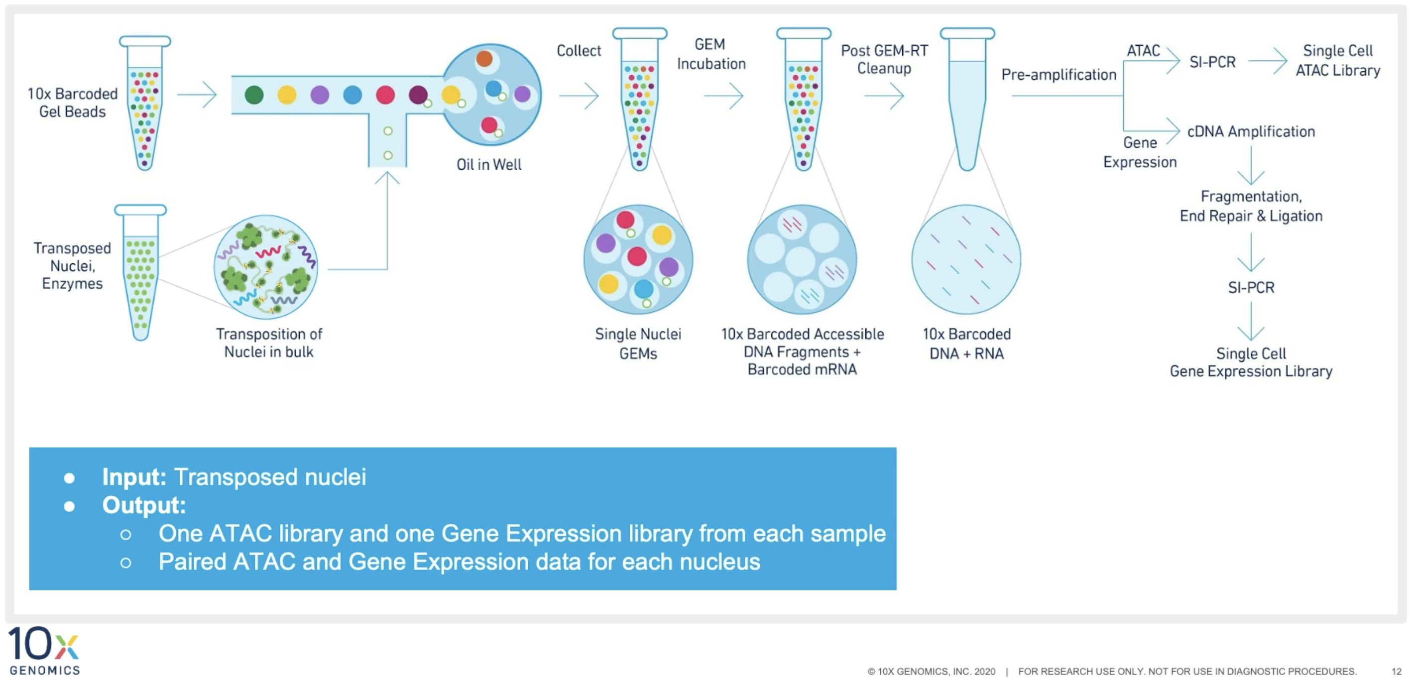 The recommended sequencing depth is 25K/nucleus for ATAC libraries, and ...