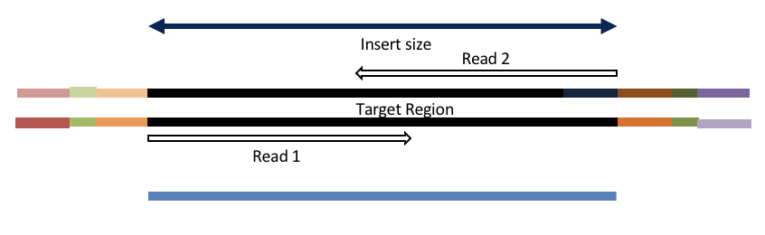 overlap_single