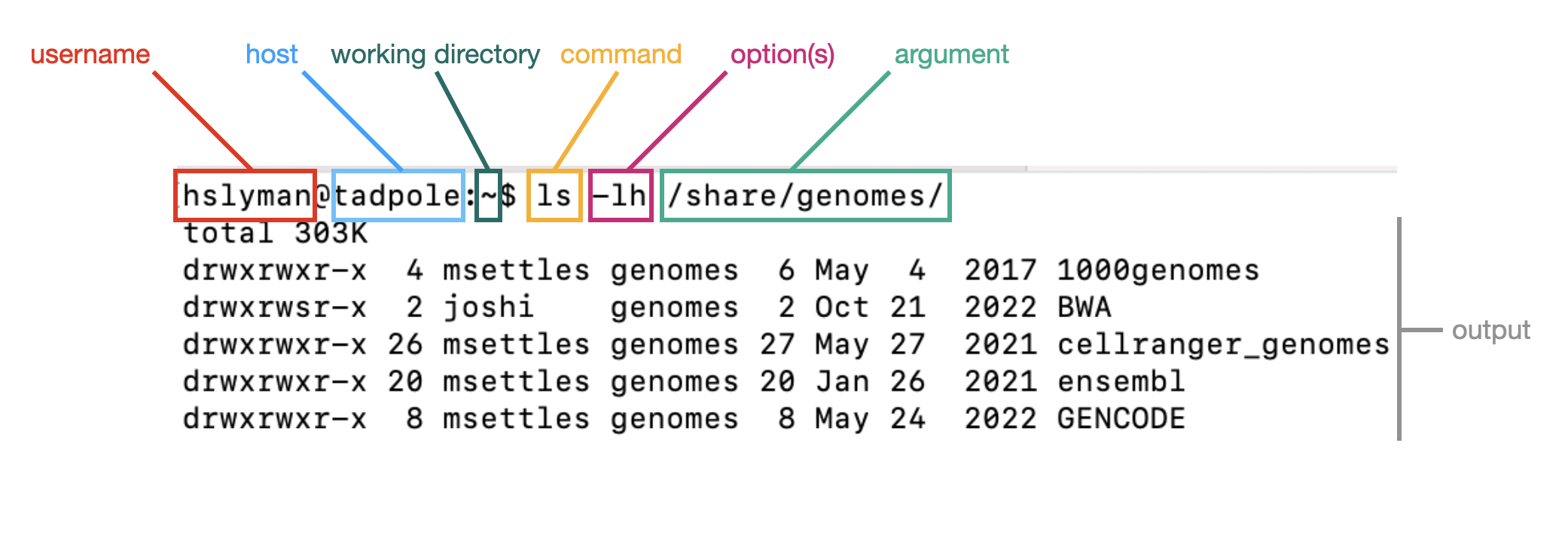 syntax of a command