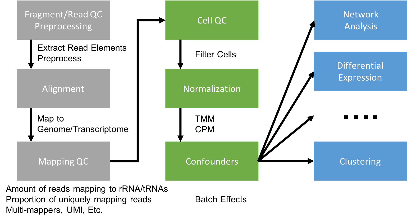 Flowchart of the scRNAseq analysis