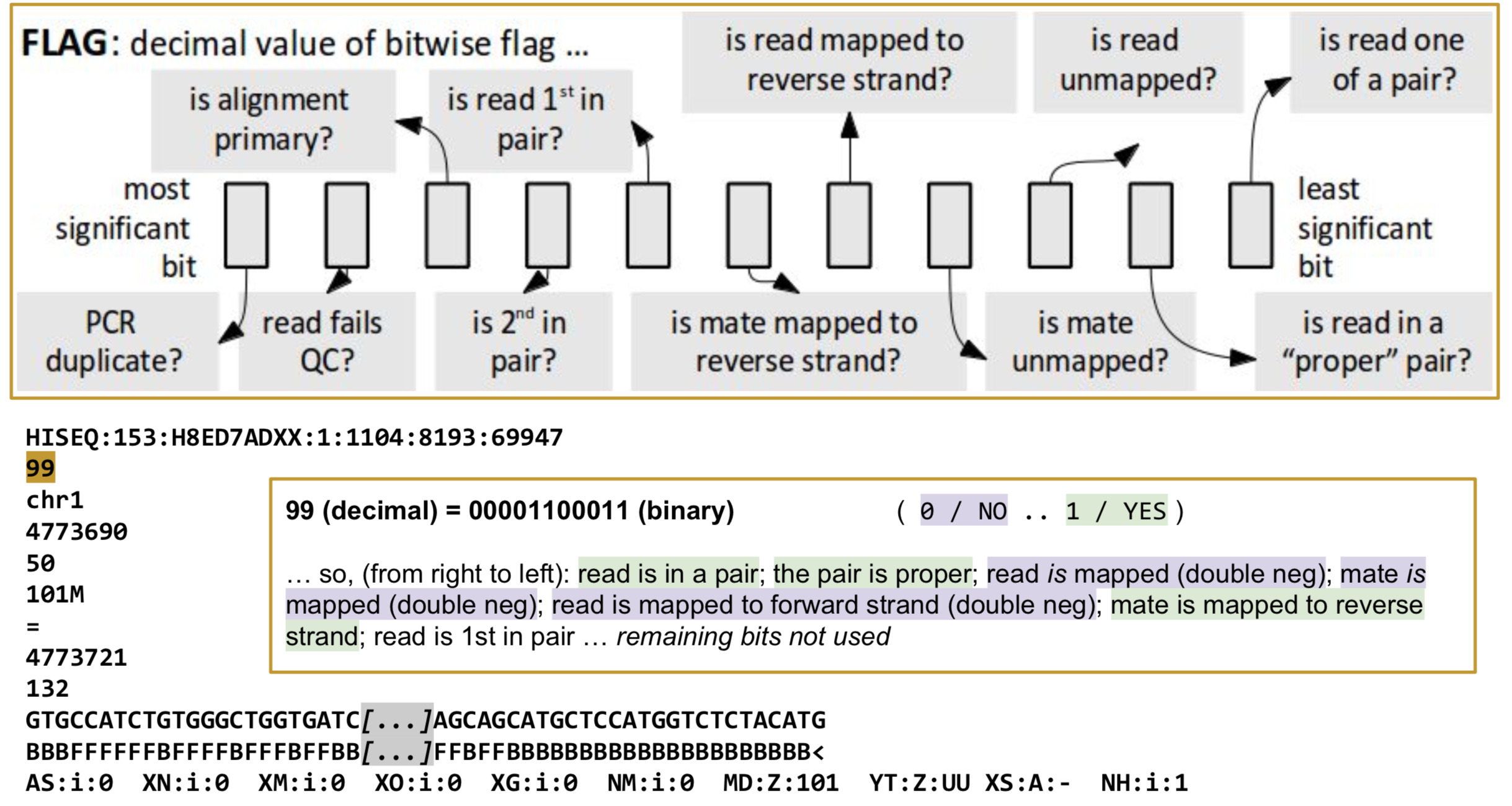 demonstration of bitwise flag interpretation