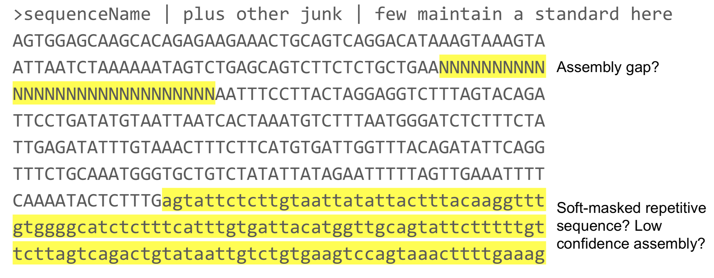 annotated example fasta file containing gap and soft masking