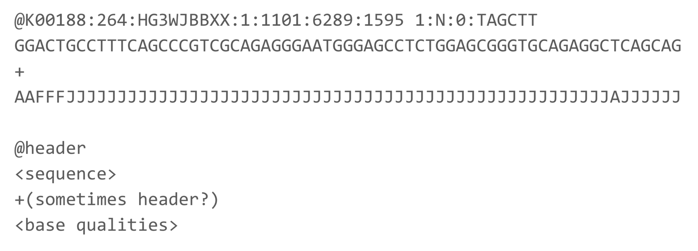 example of fastq formatted sequence