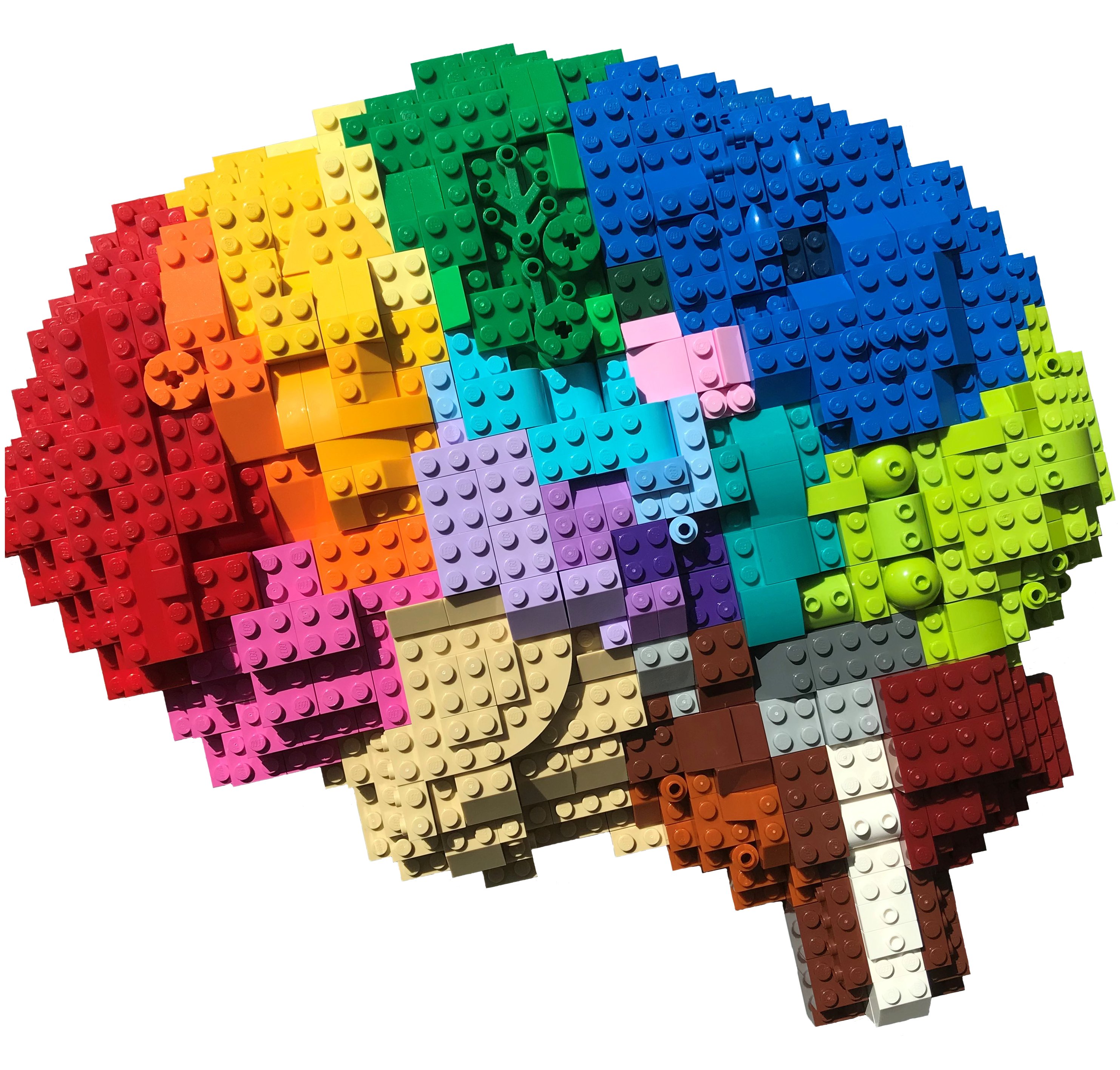 Spatial Transcriptomics