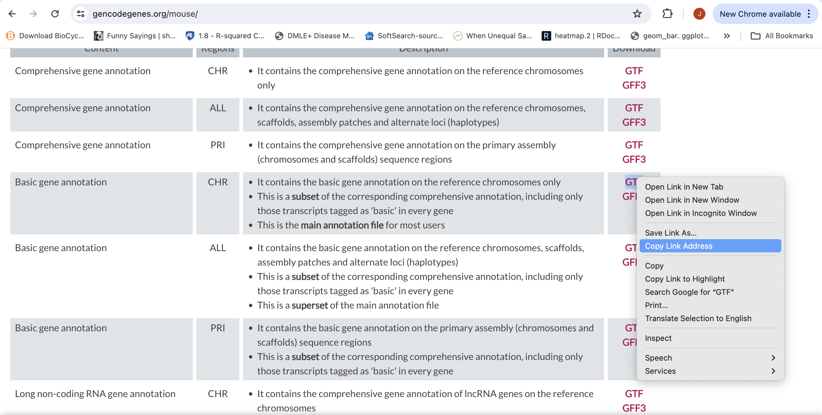 MM_basic_gene_annotation